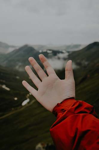 united states left person's hand hand